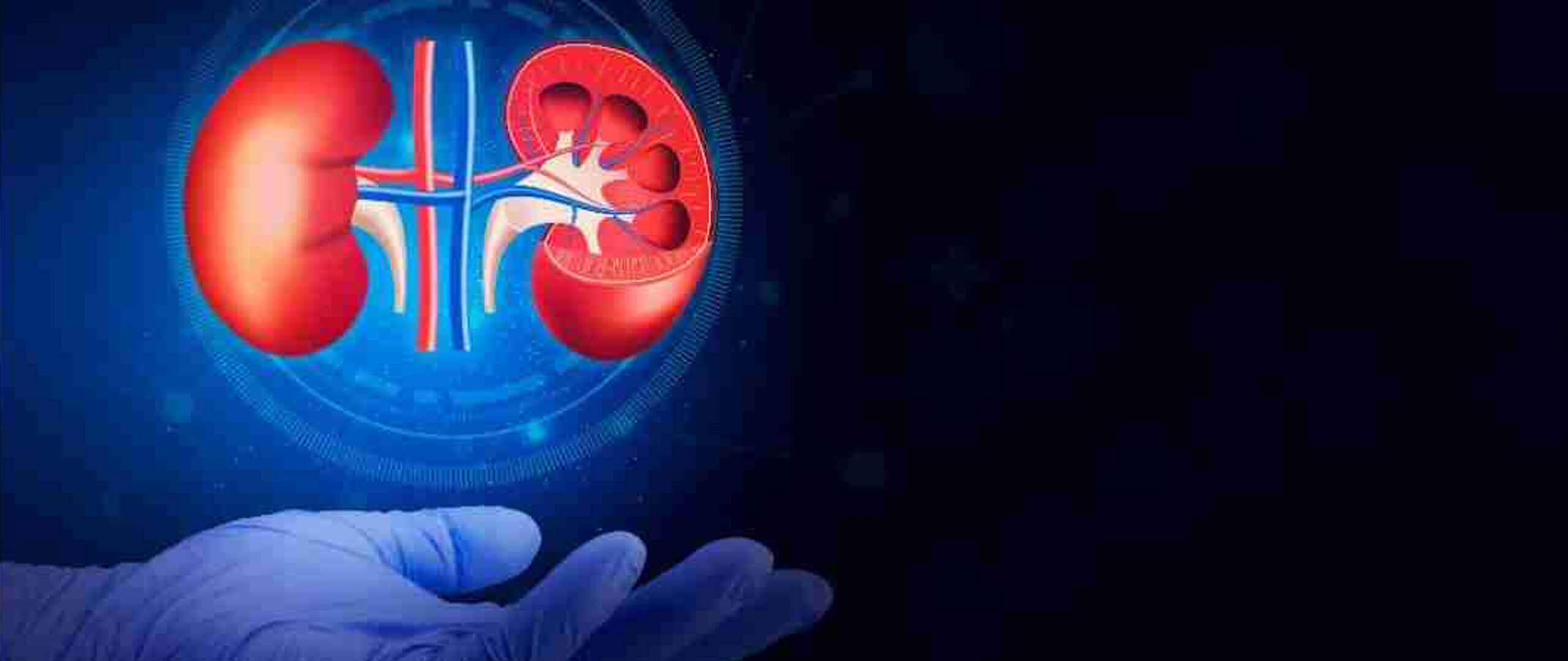 Renal insufficiency treated successfully with stem cells