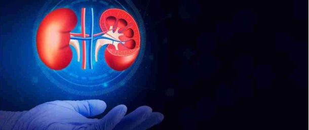 Renal insufficiency treated successfully with stem cells