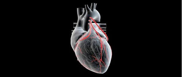 The stem cell therapy revolution in the treatment of coronary disease: Advances, challenges and future prospects