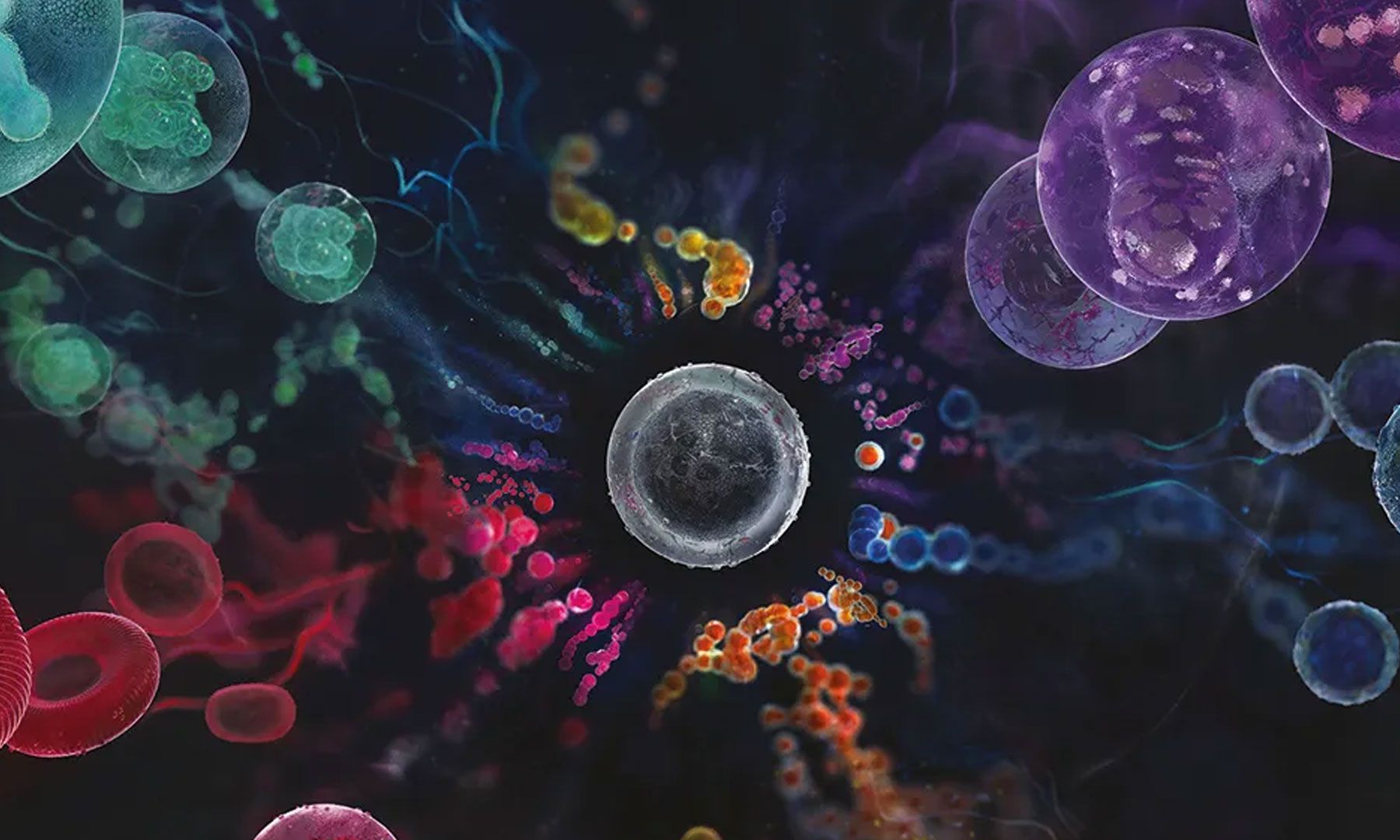 Benefits of Stem Cells
