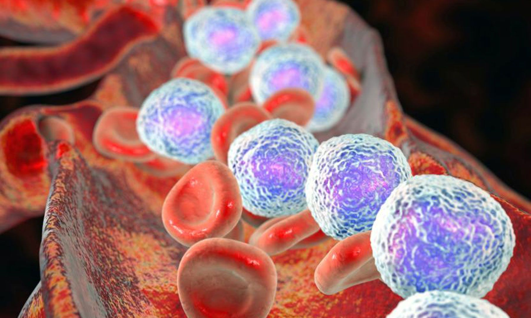 Stem Cells Potential