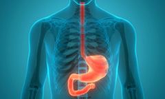 Gastroenterología